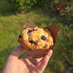Muffin aux myrtilles - 100g