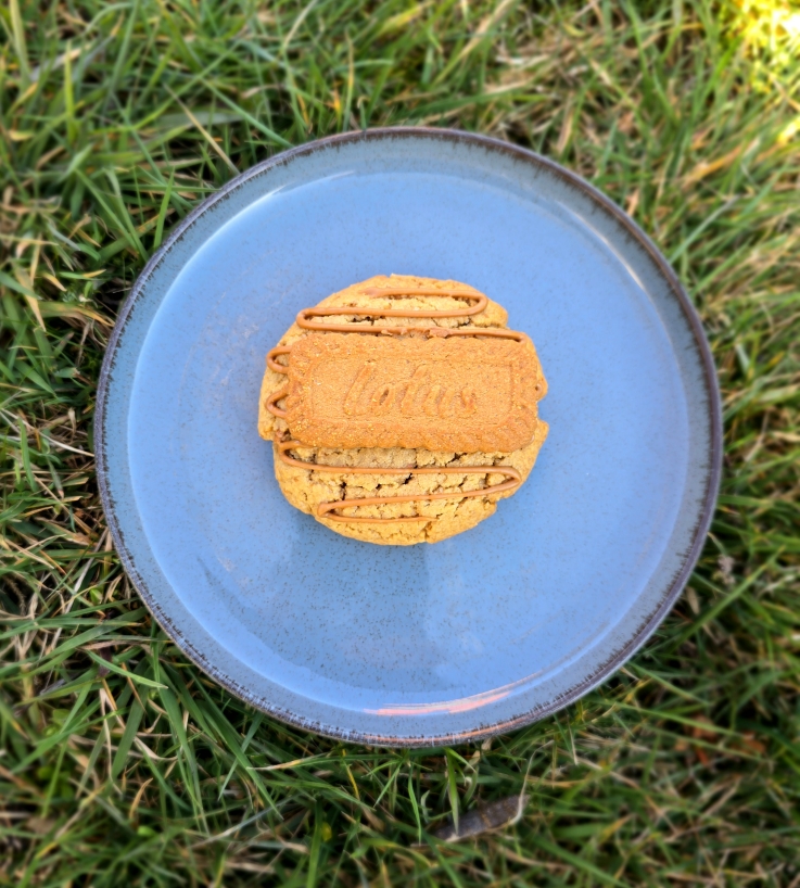 Cookie aux spéculoos - 100g